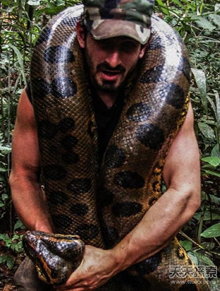 巴西工人发现巨蛇 没想到专家都表示称奇!(1)