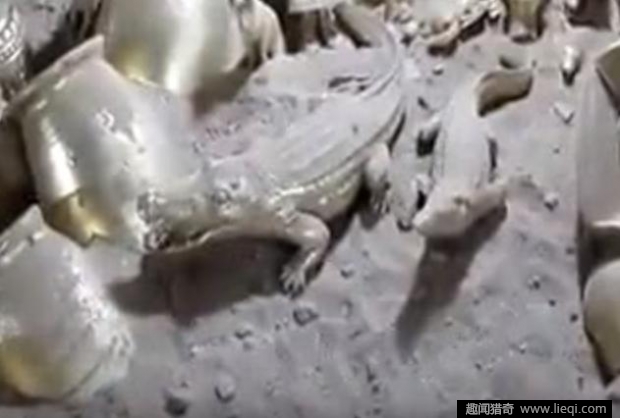 男子挖出一洞穴 进去后彻底惊呆了(9)