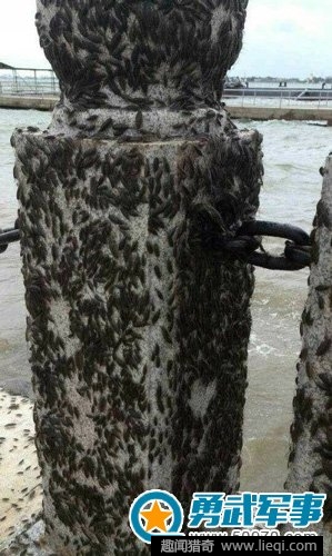 龙卷风过后的离奇事件(8)