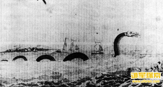 神秘大海蛇真身曝光 出乎所有人意料(1)
