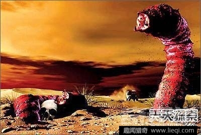 男子意外捕获怪鱼竟是中国火龙(10)