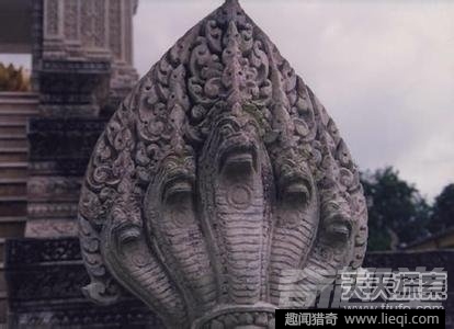 男子意外捕获怪鱼竟是中国火龙(11)