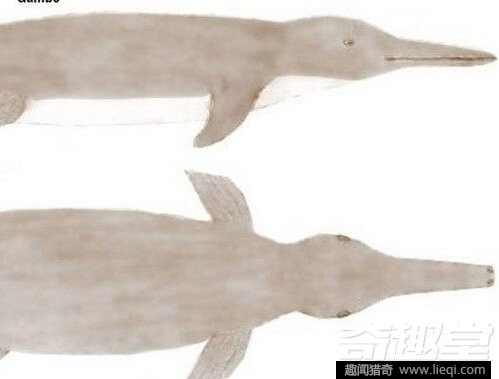 令人心惊胆战 15大传说中的海洋怪物