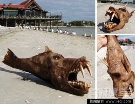 令人心惊胆战 15大传说中的海洋怪物