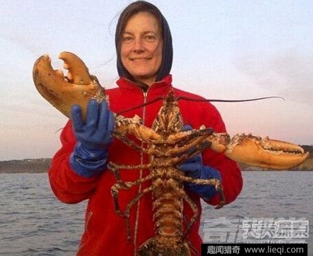 世界最长寿动物：不死怪物居然1550岁