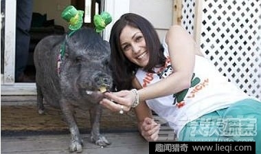 世界最长寿动物：不死怪物居然1550岁