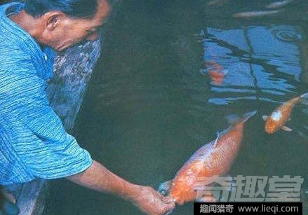 世界最长寿动物：不死怪物居然1550岁