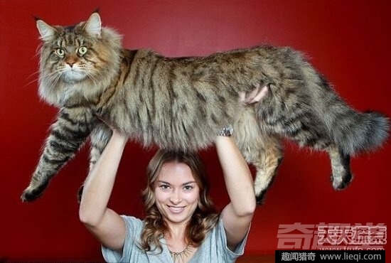 世界最长寿动物：不死怪物居然1550岁