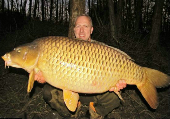 这条鲤鱼值上百万 中国物种逼疯老外(9)