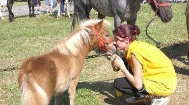 自然界最稀奇物种﹕亚洲龙鱼身价21万(10)