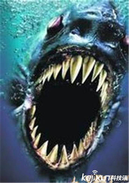 食人鱼大战巨齿鲨 动物世界致命杀手盘点