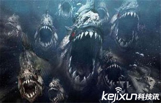 食人鱼大战巨齿鲨 动物世界致命杀手盘点(2)