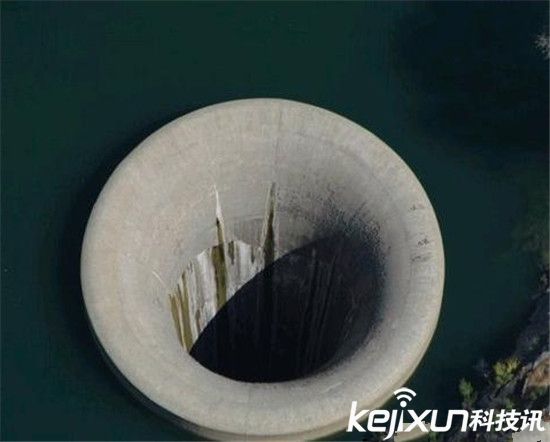 世界十大最凶悍的犬类排行 最厉害的狗有哪些