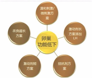 卵巢功能低下,如何保障女性做妈妈的权利? 卵巢功能低下,如何保障女性做妈妈的权利?