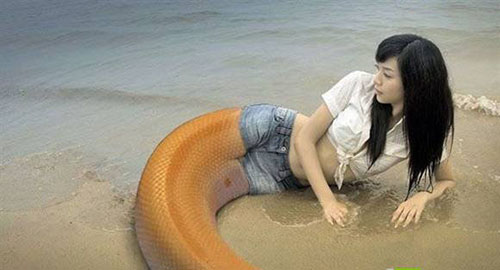 震惊世界的半兽人:史前多人面蛇身(14)