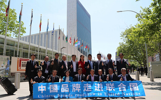 中国民族医疗品牌代表向世界发声