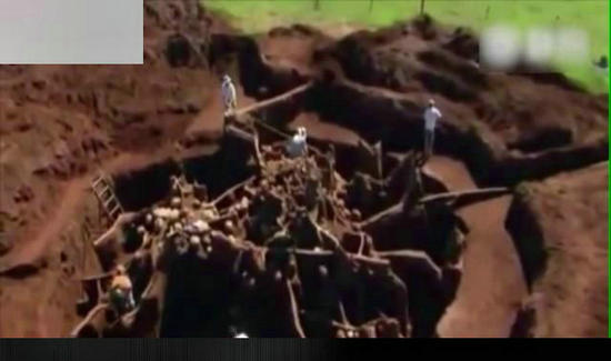 科学家竟向蚁窝灌4吨水泥 挖开后惊呆众人(28