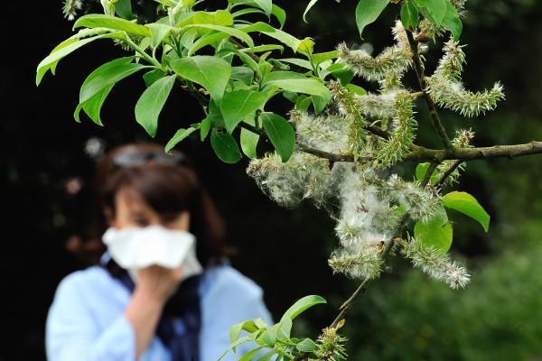 出门衣服上总有小飞虫？那是因为你穿了这些颜色上身
