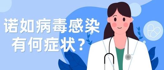 突然恶心、呕吐、腹泻？警惕诺如病毒感染