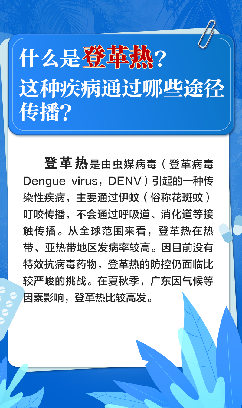 发热、头痛、出疹子……注意！你可能得了登革热