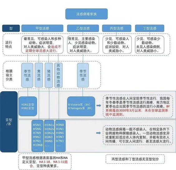 占比99%！今冬呼吸道头号“凶手”横行，这种常见药别乱吃