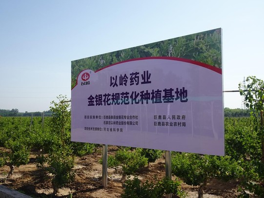 药食同源站上健康产业C位：市场狂奔背后警钟敲响