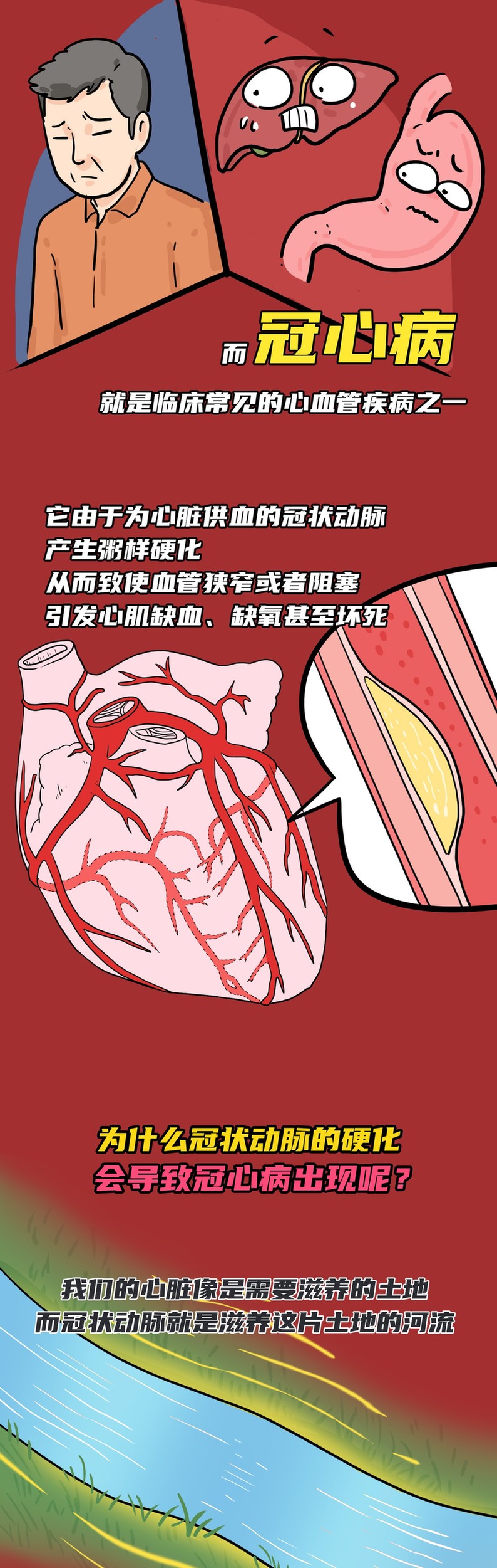 3个护心法则守护1139万生命之泵