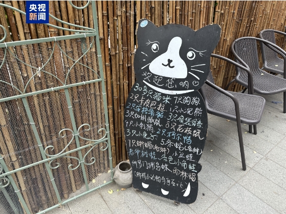 卡皮巴拉、羊驼入驻商场、写字楼 究竟暗藏哪些隐患？