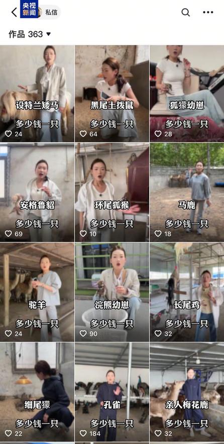 卡皮巴拉、羊驼入驻商场、写字楼 究竟暗藏哪些隐患？
