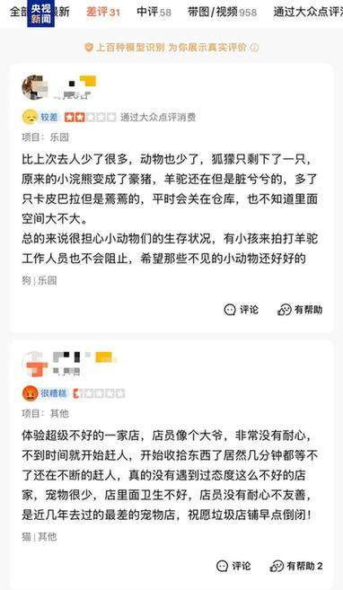 卡皮巴拉、羊驼入驻商场、写字楼 究竟暗藏哪些隐患？