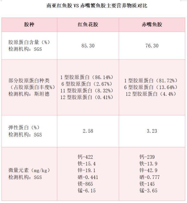 “南亚鱼王”露斯塔野鲮：从丝绸之路走上滋补餐桌
