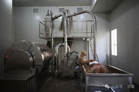 甘露说丨薪火永续·总结篇