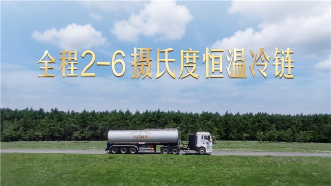 央视镜头下的“中国标杆”:看每日鲜语如何“领鲜世界”