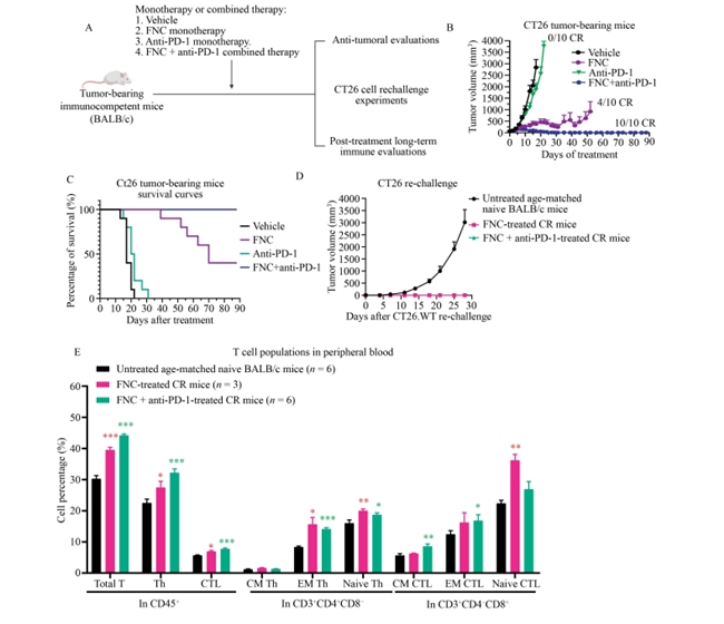 肿瘤免疫治疗迎来新突破 肿瘤免疫治疗迎来新突破