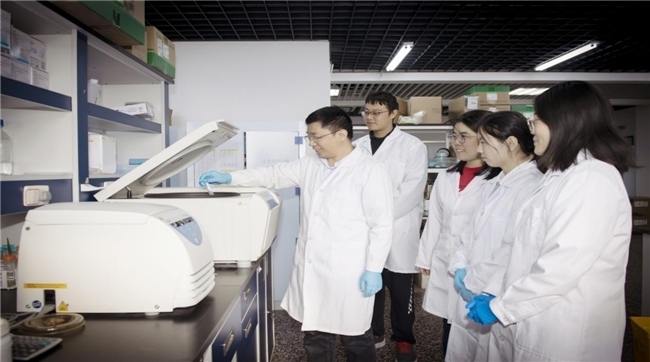 中国科学院与中国农大联合团队突破纳米酶仿生抗菌机制 开辟抗感染治疗新路径