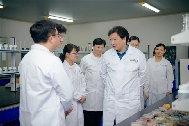 向“新”而行,向“质”图强--解密春芝堂的“精、专、安”