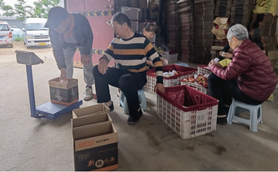 身残志坚 大荔姑娘马宁用奋斗谱写青春华章