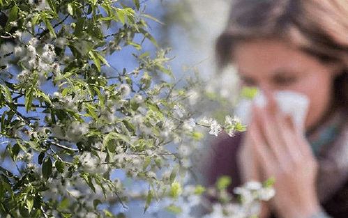 北方多地进入杨柳飞絮期 “过敏星人”请收好这份注意事项