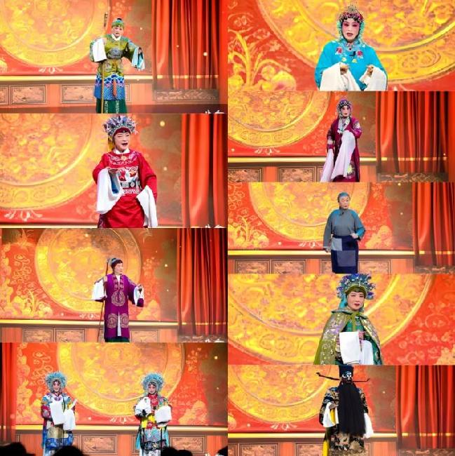 2025第十七届“爱的奉献”抗癌京剧公益演出在京圆满落幕