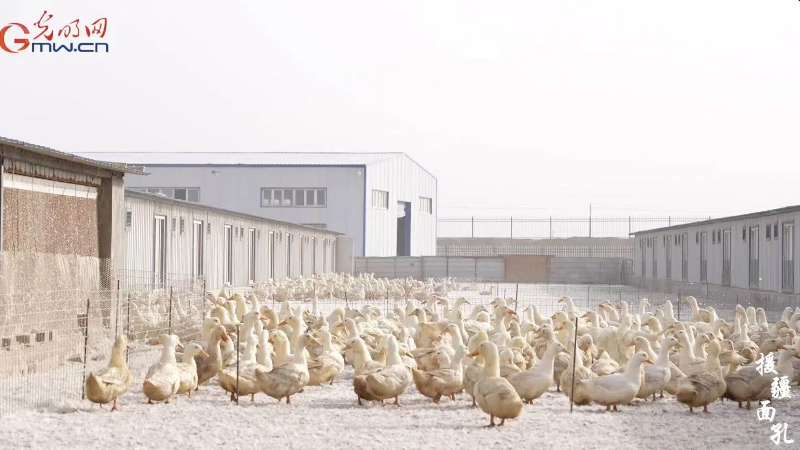 援疆面孔|祖东阁：援疆三问 不做过客做常客