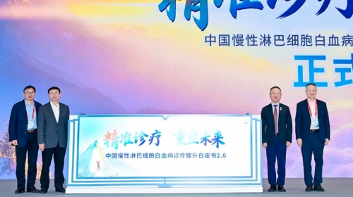 血液肿瘤防治新契机：创新方案开启希望新篇章