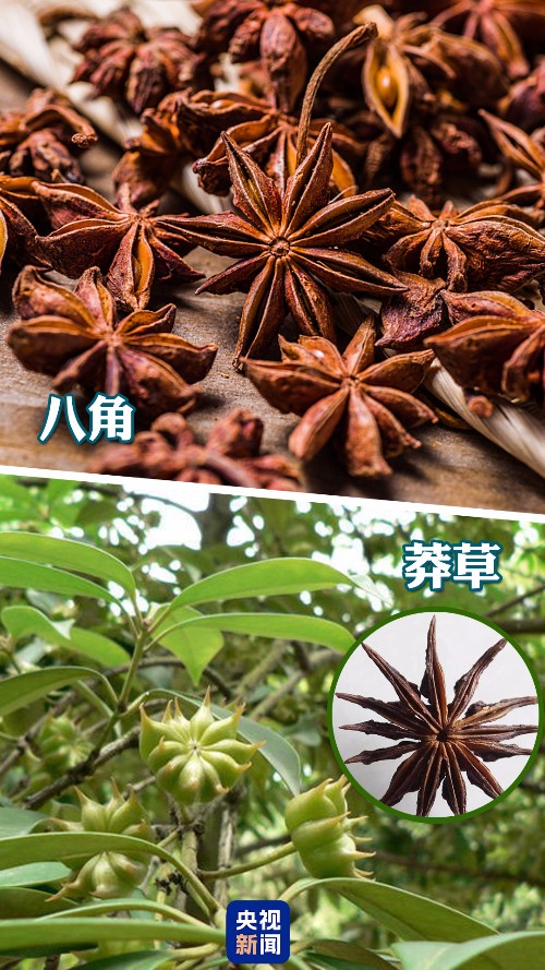 女子买的“八角”数出13个角,竟有剧毒!厨房里如有这些快扔掉