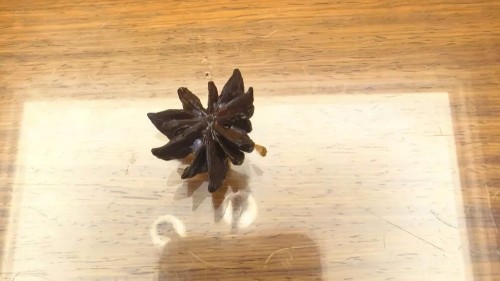 女子买的“八角”数出13个角,竟有剧毒!厨房里如有这些快扔掉