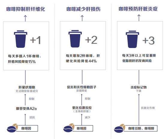 护肝、抗氧化？北大教授为你科普咖啡健康小知识