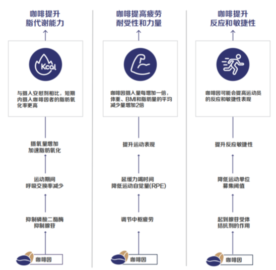 护肝、抗氧化？北大教授为你科普咖啡健康小知识