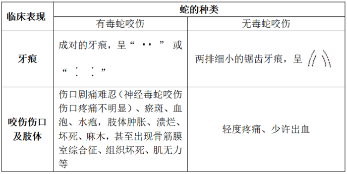 毒蛇咬伤急救指南