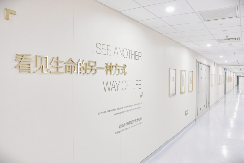 生命的另一种打开方式:北京安贞医院医学影像艺术展温情开展