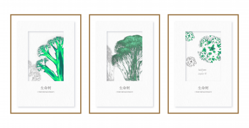 生命的另一种打开方式:北京安贞医院医学影像艺术展温情开展