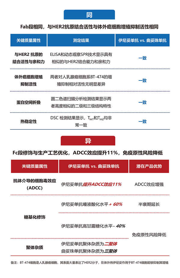 抗HER2治疗有了新选择