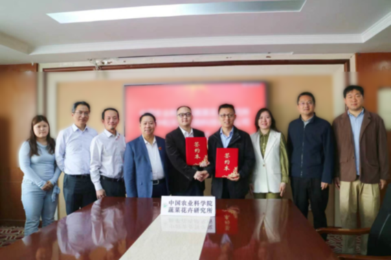 莱菔硫烷,能否成为抗癌新先锋?为何率先在中国实现突破?谁是背后的“关键先生”?何时可以惠及患者? 莱菔硫烷,能否成为抗癌新先锋?为何率先在中国实现突破?谁是背后的“关键先生”?何时可以惠及患者?